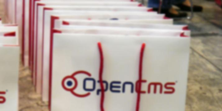 Several OpenCms bags standing in a row