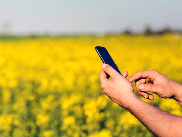 Phone on the field